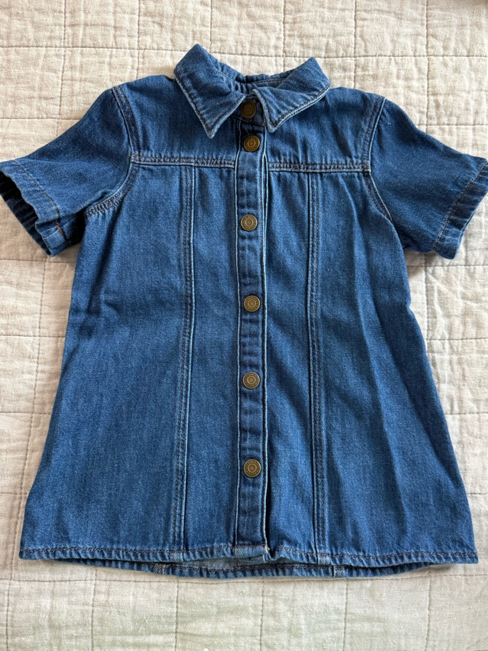 Toddler Girl Blue Denim Button-Front Dress